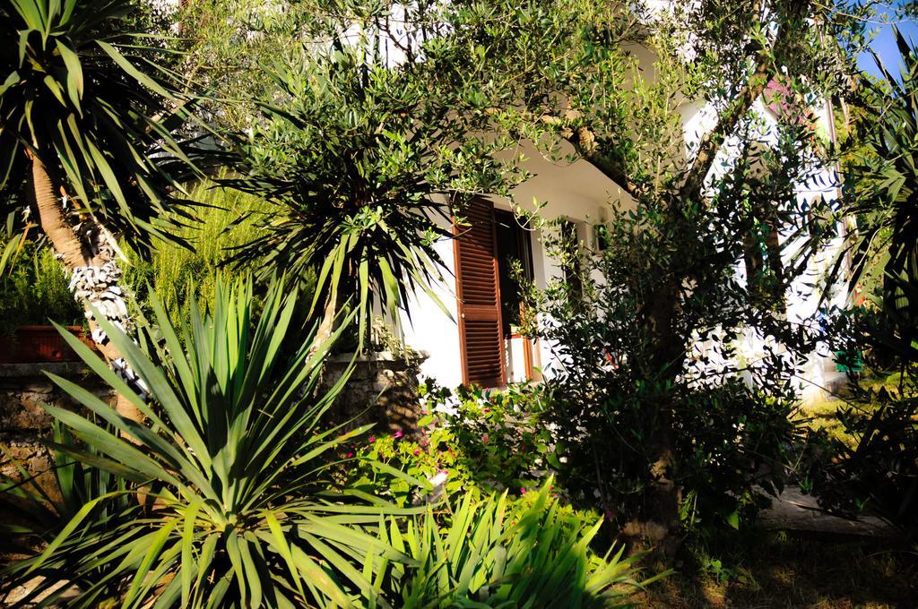 Apartment Adrialuka Dubrava (Dubrovnik-Neretva)