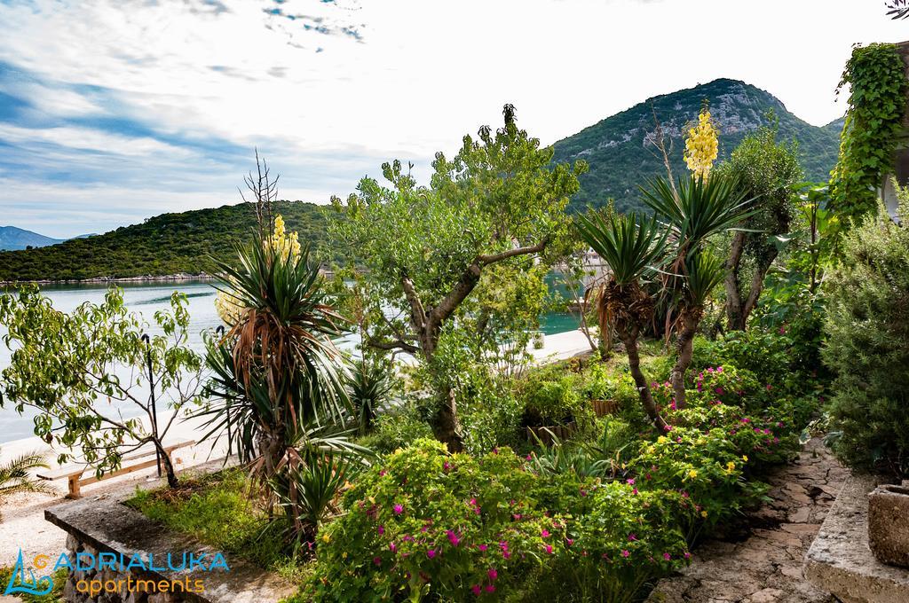 Adrialuka Dubrava (Dubrovnik-Neretva)